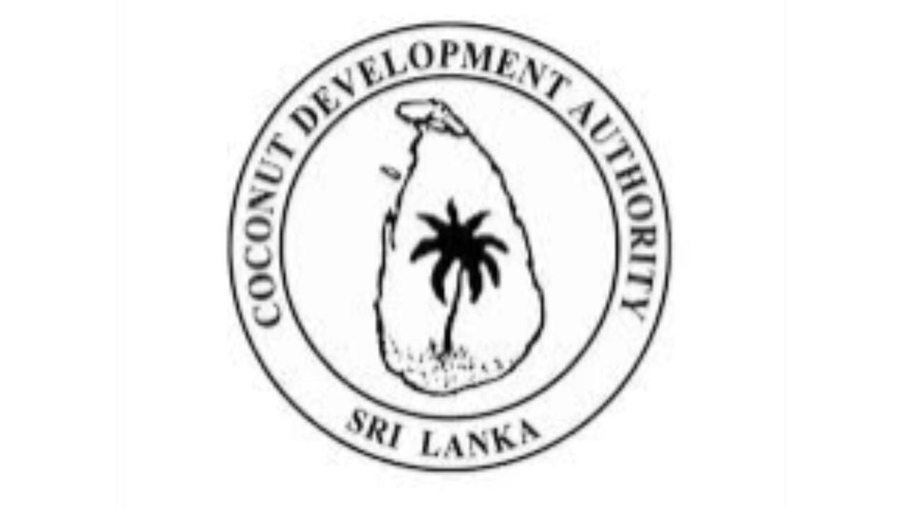 WhatsApp Image 2025-11-20 at 11.42.12 AM-3